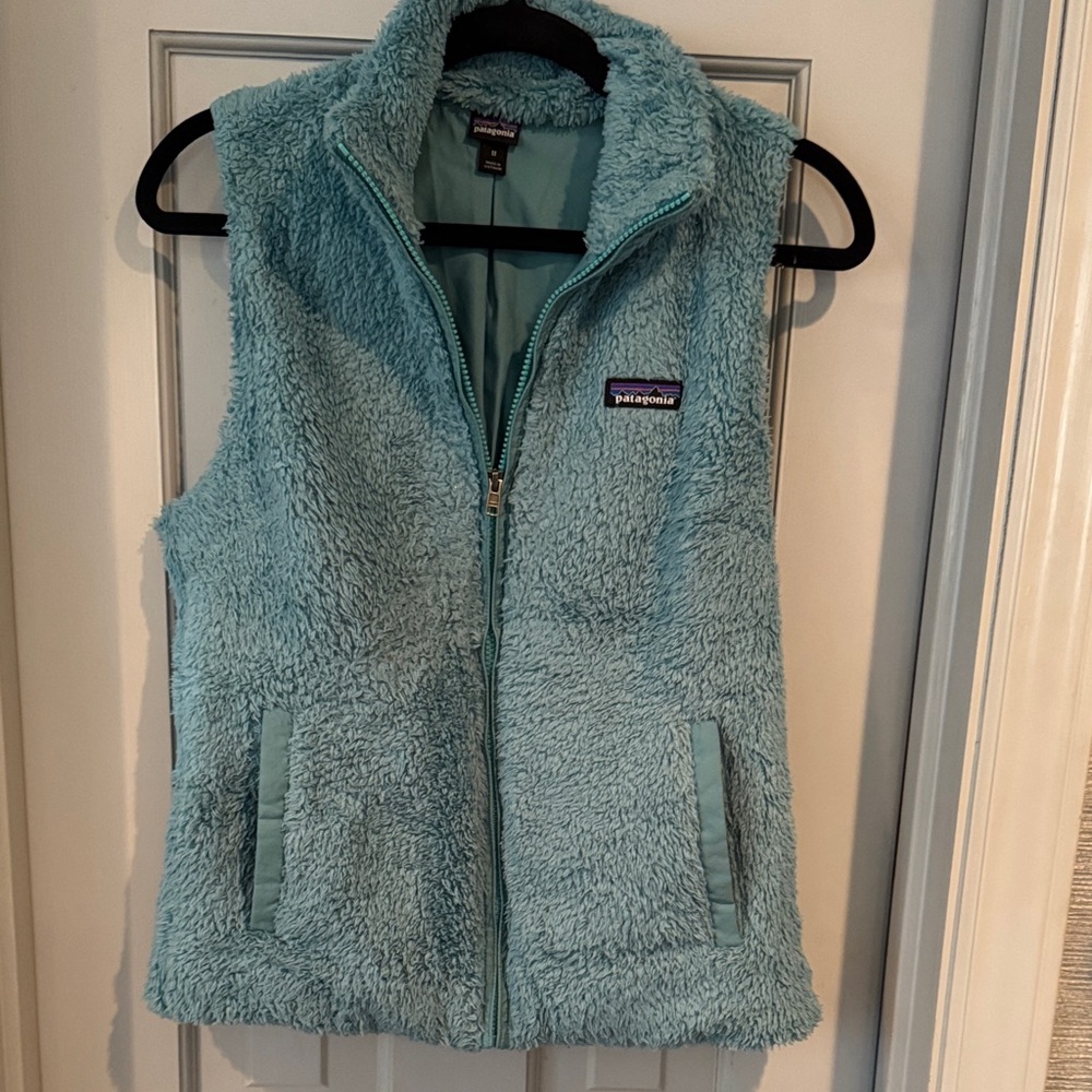 Patagonia Teal Fleece Vest
